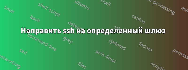 Направить ssh на определенный шлюз