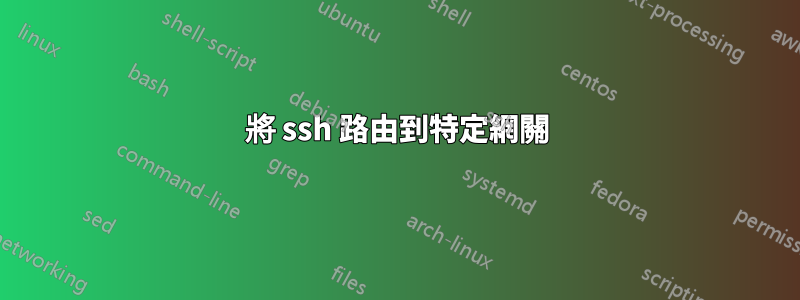 將 ssh 路由到特定網關