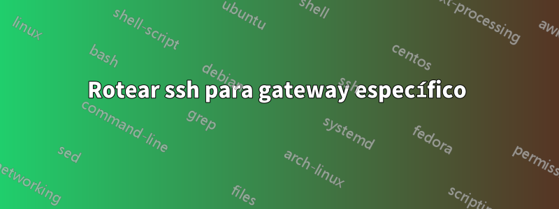 Rotear ssh para gateway específico