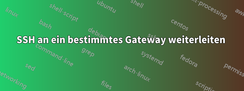 SSH an ein bestimmtes Gateway weiterleiten