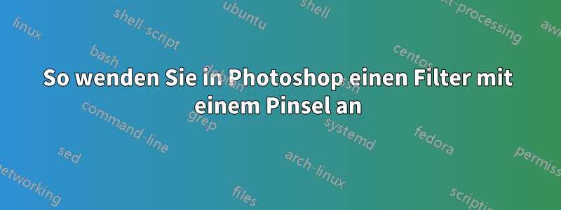 So wenden Sie in Photoshop einen Filter mit einem Pinsel an