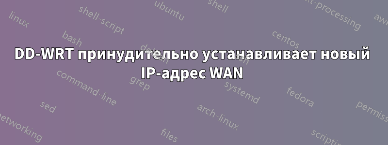 DD-WRT принудительно устанавливает новый IP-адрес WAN