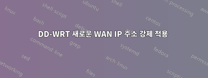 DD-WRT 새로운 WAN IP 주소 강제 적용