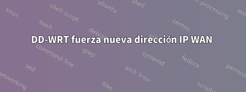 DD-WRT fuerza nueva dirección IP WAN