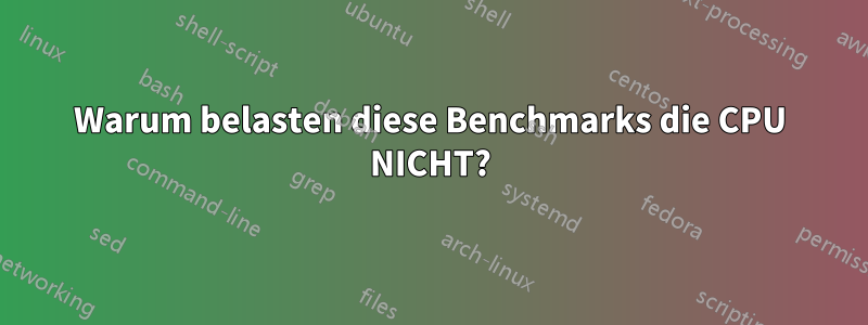 Warum belasten diese Benchmarks die CPU NICHT?