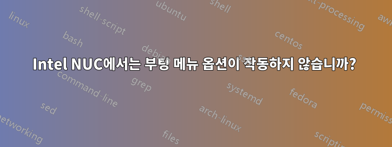 Intel NUC에서는 부팅 메뉴 옵션이 작동하지 않습니까?