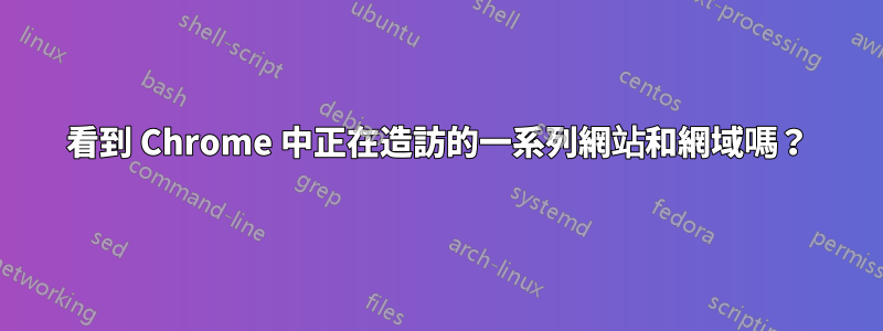 看到 Chrome 中正在造訪的一系列網站和網域嗎？