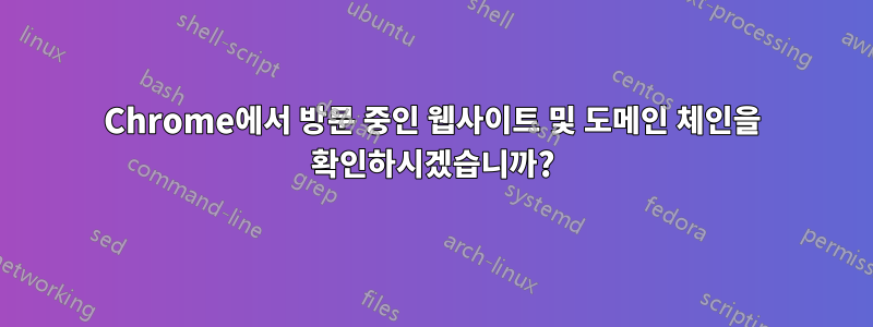 Chrome에서 방문 중인 웹사이트 및 도메인 체인을 확인하시겠습니까?