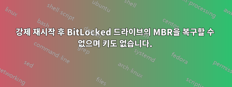 강제 재시작 후 BitLocked 드라이브의 MBR을 복구할 수 없으며 키도 없습니다.