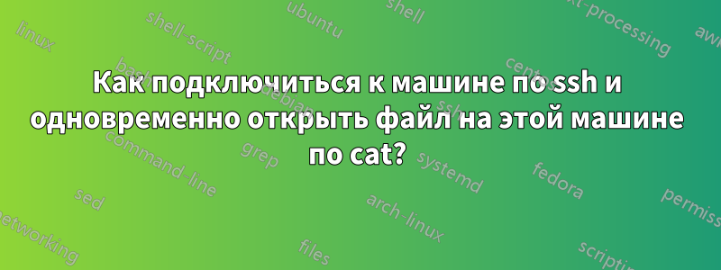 Как подключиться к машине по ssh и одновременно открыть файл на этой машине по cat?