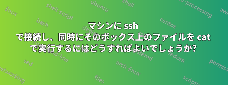 マシンに ssh で接続し、同時にそのボックス上のファイルを cat で実行するにはどうすればよいでしょうか?