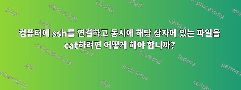 컴퓨터에 ssh를 연결하고 동시에 해당 상자에 있는 파일을 cat하려면 어떻게 해야 합니까?