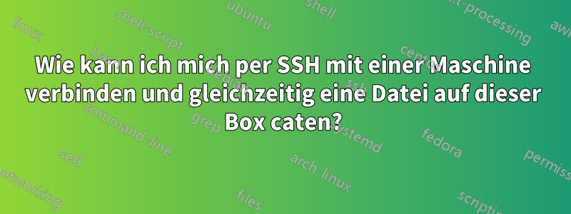 Wie kann ich mich per SSH mit einer Maschine verbinden und gleichzeitig eine Datei auf dieser Box caten?