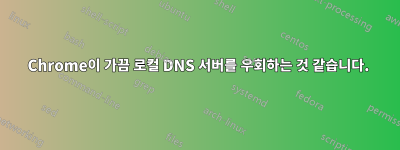 Chrome이 가끔 로컬 DNS 서버를 우회하는 것 같습니다.