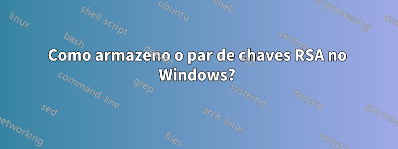 Como armazeno o par de chaves RSA no Windows?