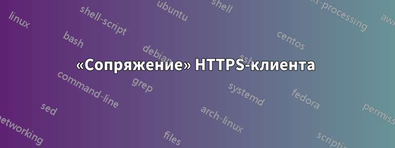 «Сопряжение» HTTPS-клиента