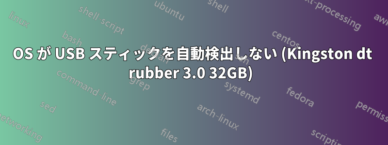 OS が USB スティックを自動検出しない (Kingston dt rubber 3.0 32GB) 