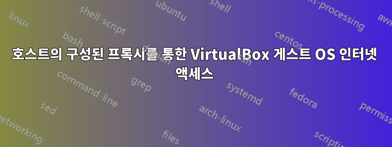 호스트의 구성된 프록시를 통한 VirtualBox 게스트 OS 인터넷 액세스