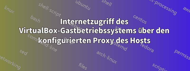 Internetzugriff des VirtualBox-Gastbetriebssystems über den konfigurierten Proxy des Hosts