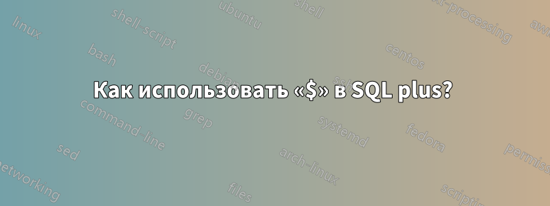 Как использовать «$» в SQL plus?