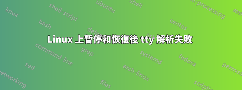 Linux 上暫停和恢復後 tty 解析失敗