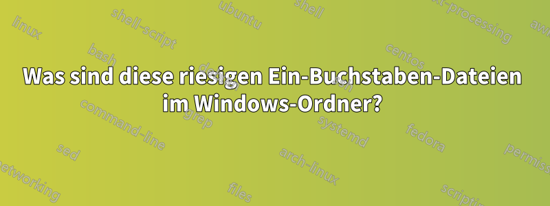 Was sind diese riesigen Ein-Buchstaben-Dateien im Windows-Ordner?