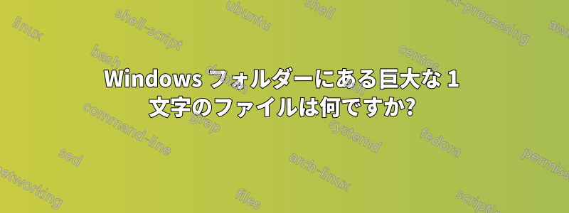 Windows フォルダーにある巨大な 1 文字のファイルは何ですか?