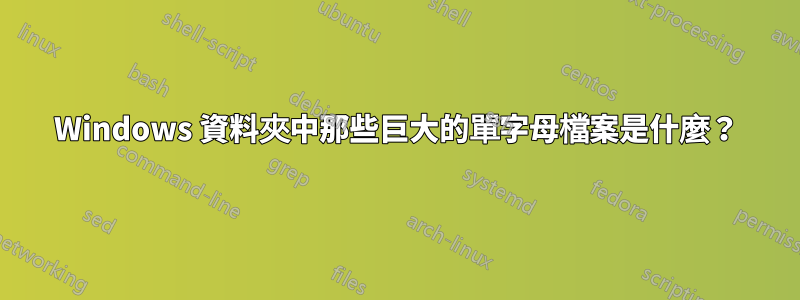 Windows 資料夾中那些巨大的單字母檔案是什麼？