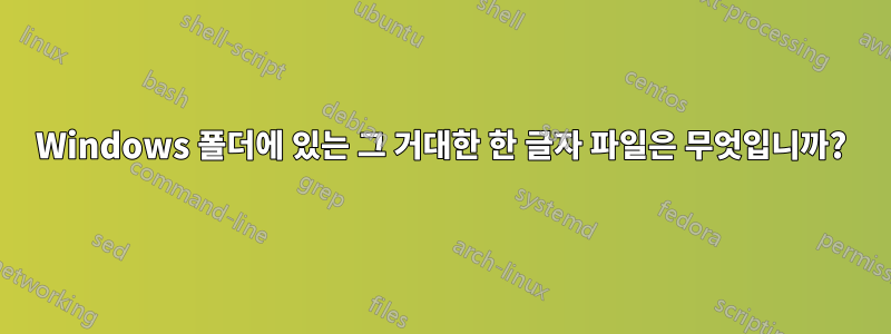 Windows 폴더에 있는 그 거대한 한 글자 파일은 무엇입니까?