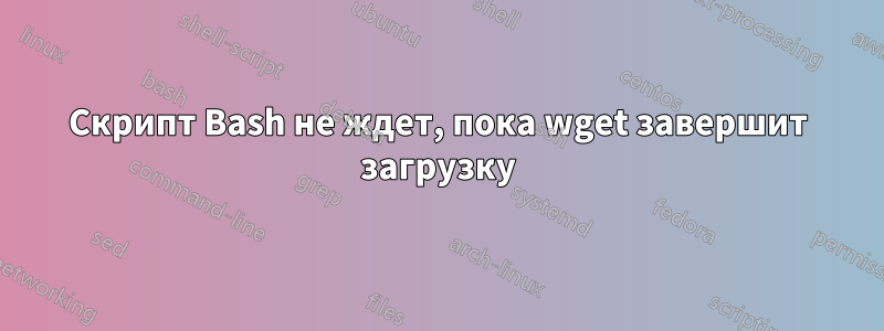 Скрипт Bash не ждет, пока wget завершит загрузку