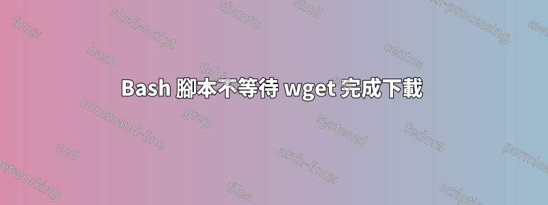 Bash 腳本不等待 wget 完成下載