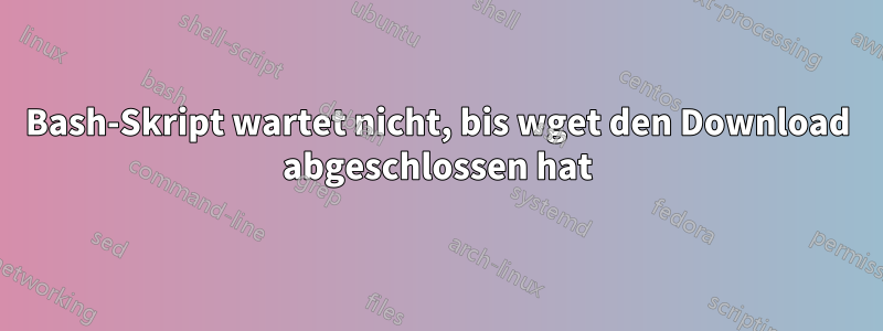 Bash-Skript wartet nicht, bis wget den Download abgeschlossen hat