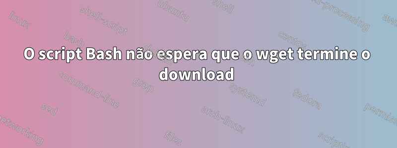 O script Bash não espera que o wget termine o download