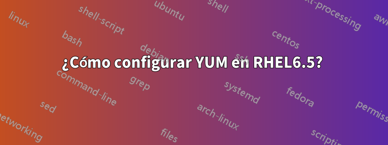 ¿Cómo configurar YUM en RHEL6.5?