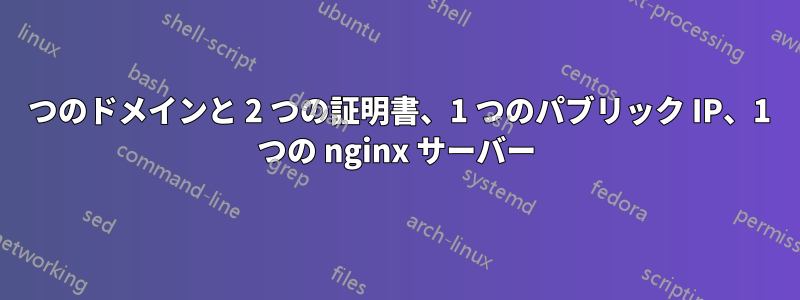 2 つのドメインと 2 つの証明書、1 つのパブリック IP、1 つの nginx サーバー