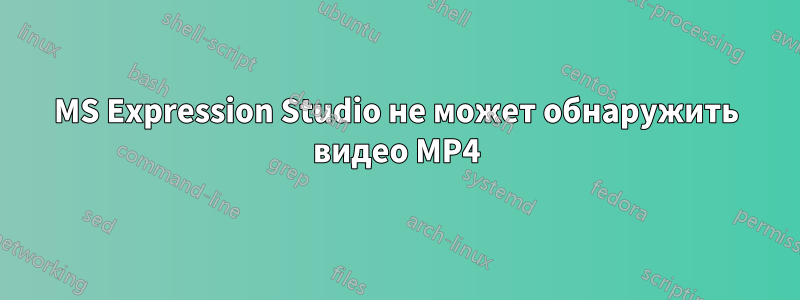 MS Expression Studio не может обнаружить видео MP4