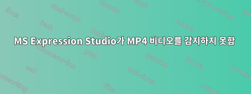 MS Expression Studio가 MP4 비디오를 감지하지 못함