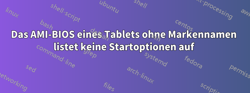 Das AMI-BIOS eines Tablets ohne Markennamen listet keine Startoptionen auf