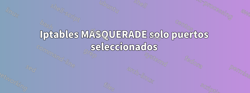 Iptables MASQUERADE solo puertos seleccionados