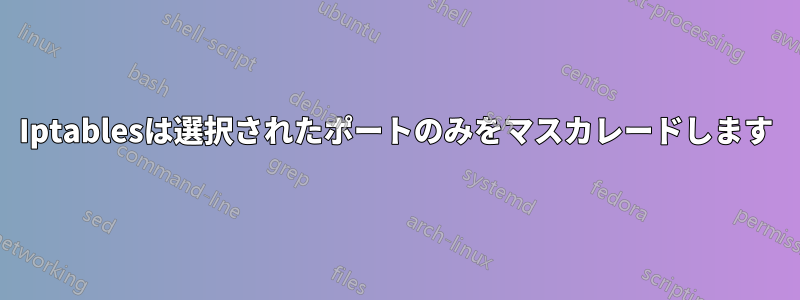 Iptablesは選択されたポートのみをマスカレードします