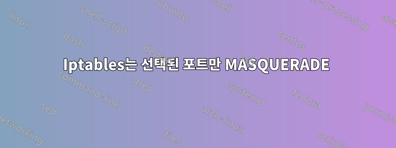 Iptables는 선택된 포트만 MASQUERADE