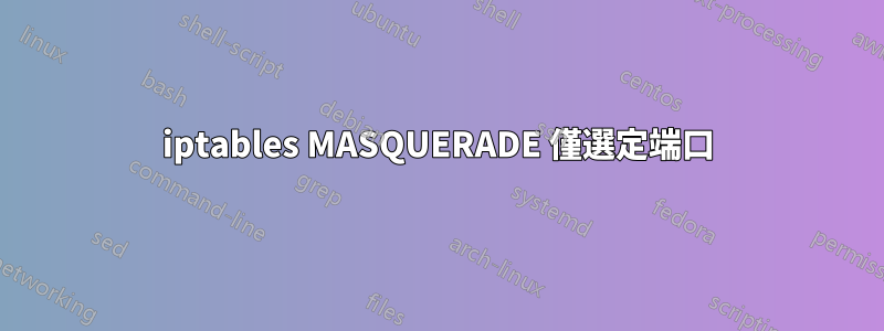 iptables MASQUERADE 僅選定端口