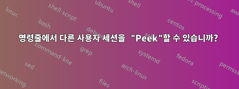 명령줄에서 다른 사용자 세션을 "Peek"할 수 있습니까?