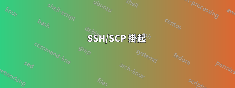 SSH/SCP 掛起