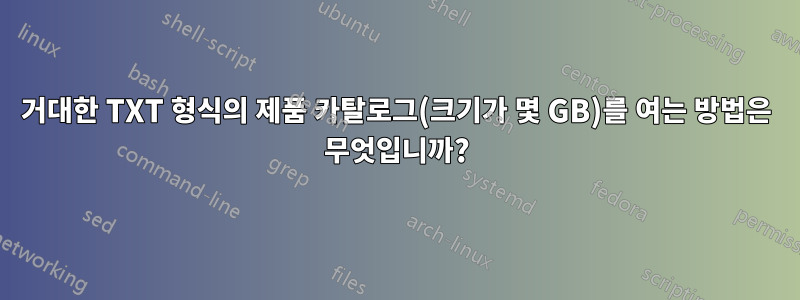 거대한 TXT 형식의 제품 카탈로그(크기가 몇 GB)를 여는 방법은 무엇입니까?
