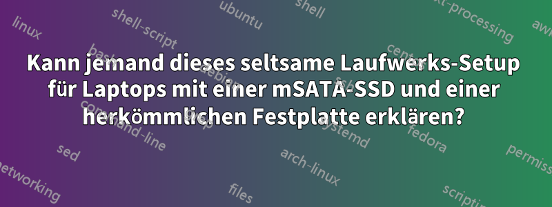 Kann jemand dieses seltsame Laufwerks-Setup für Laptops mit einer mSATA-SSD und einer herkömmlichen Festplatte erklären?