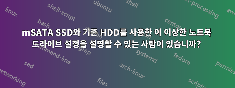 mSATA SSD와 기존 HDD를 사용한 이 이상한 노트북 드라이브 설정을 설명할 수 있는 사람이 있습니까?