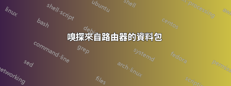 嗅探來自路由器的資料包