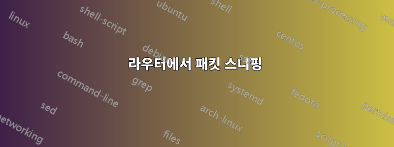 라우터에서 패킷 스니핑