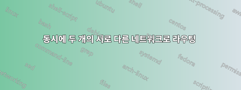 동시에 두 개의 서로 다른 네트워크로 라우팅